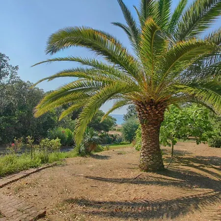 3 A 200m De La Avec Jardin, Terrasse Et Parking Securise - Fr-1-61-510 * Casaglione